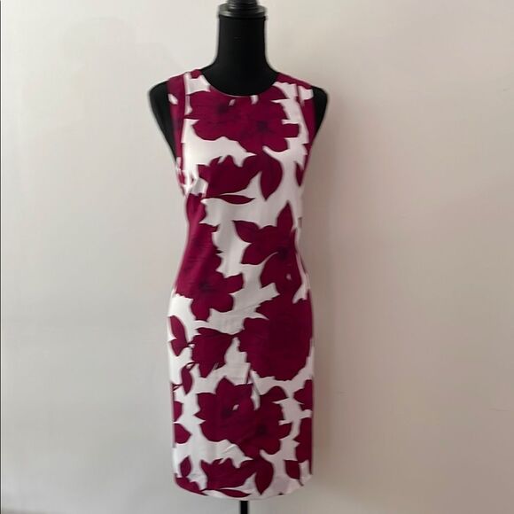 Banana Republic Womens Vibrant Flower Print Maroon White Sleeveless Dress Sz 4 - Picture 1 of 9